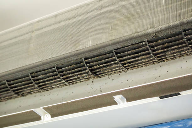 Best Dryer Vent Cleaning Services  in Mayo, FL